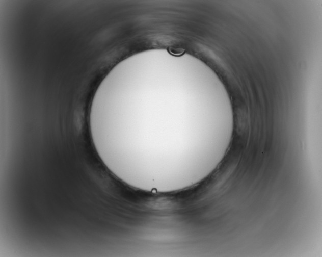 X0000089850451200707191905