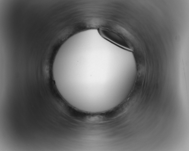 X0000089850452200707191905