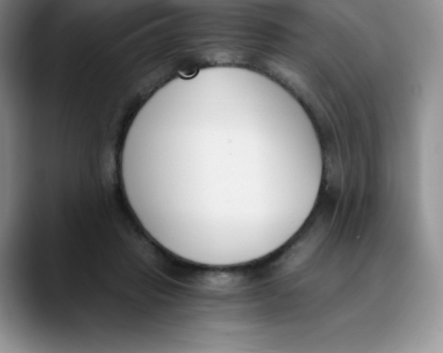 X0000089850453200707191905