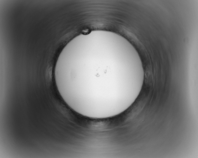 X0000089850454200707191905