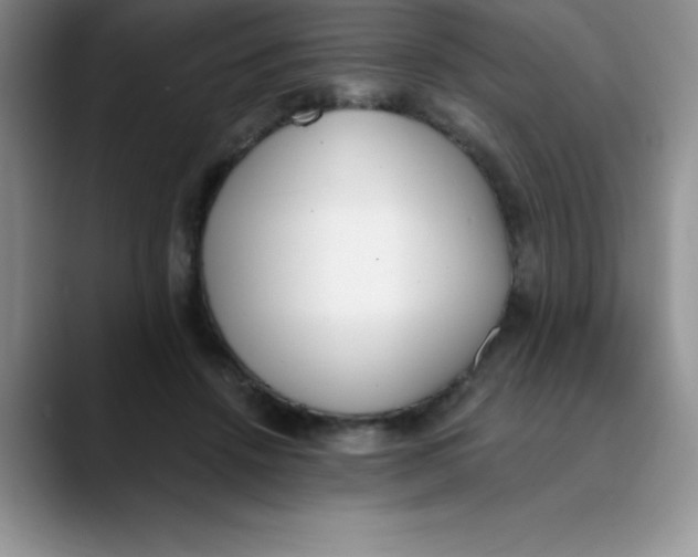 X0000089850456200707191905