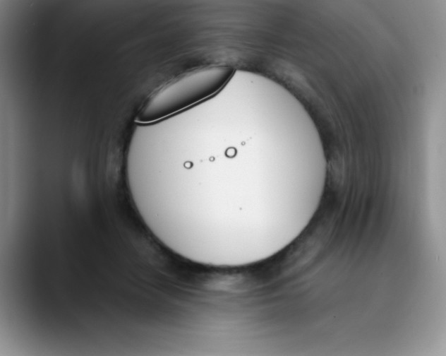 X0000089850458200707191905