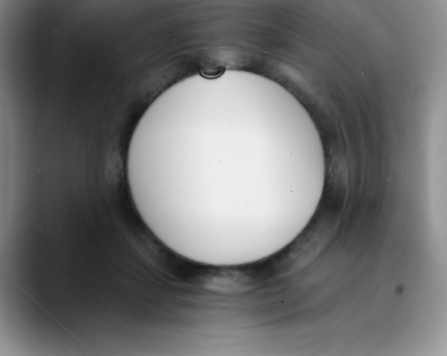 X0000089850459200707191905