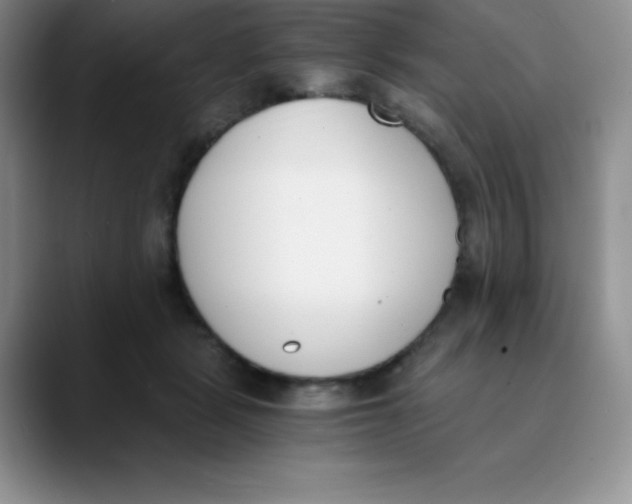 X0000089850461200707191905