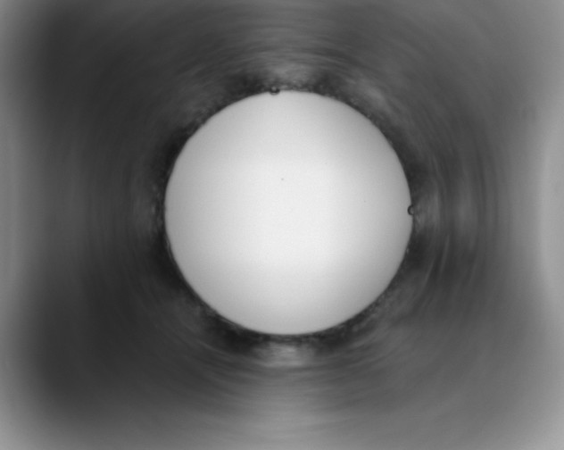 X0000089850464200707191905