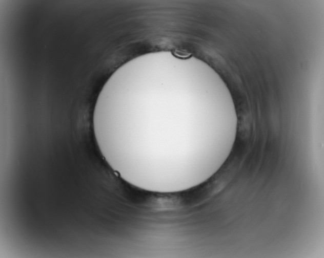 X0000089850466200707191905