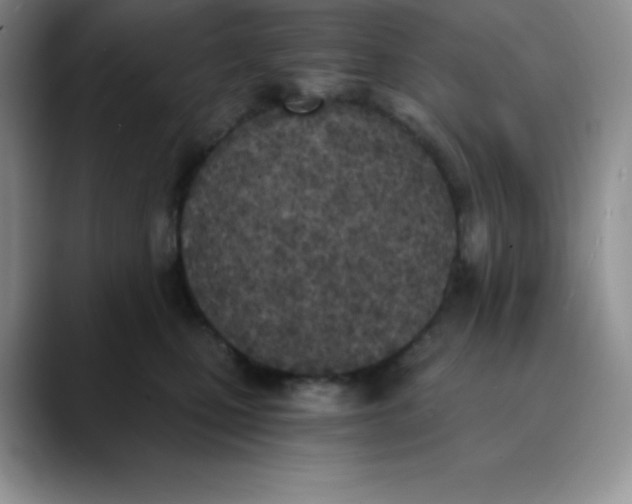 X0000089850471200707191905