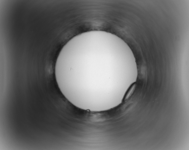 X0000089850472200707191905