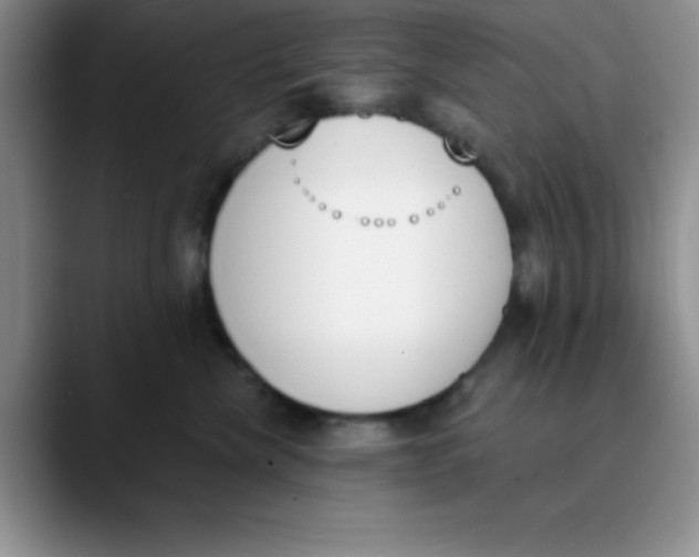 X0000089850476200707191906