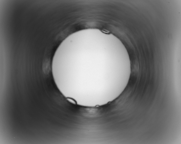 X0000089850478200707191906