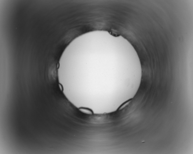 X0000089850479200707191906