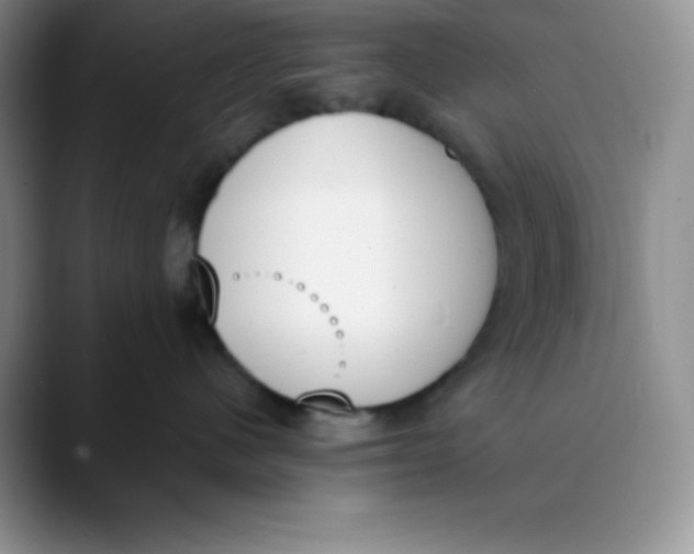 X0000089850480200707191906