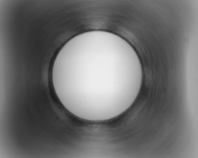 X0000089850482200707191905