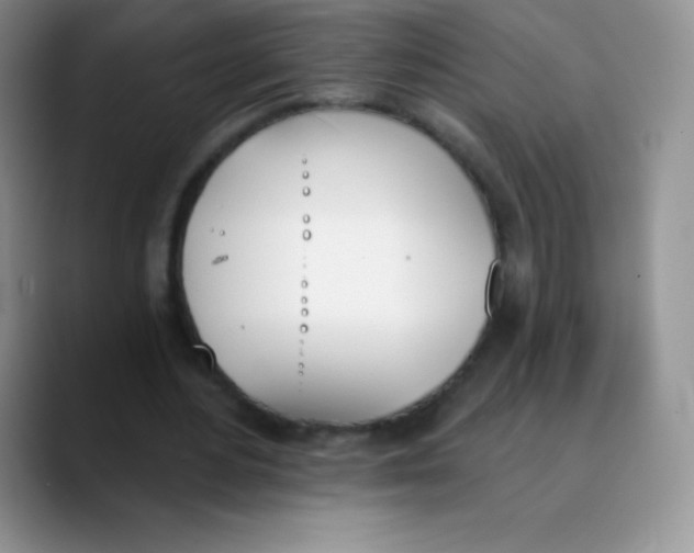 X0000089850484200707191905