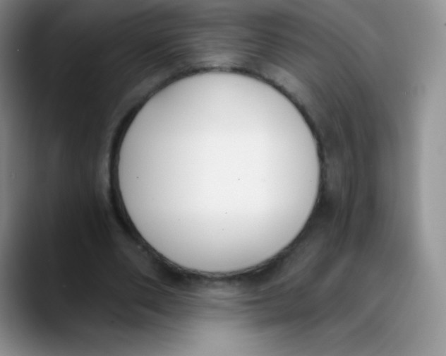 X0000089850486200707191905