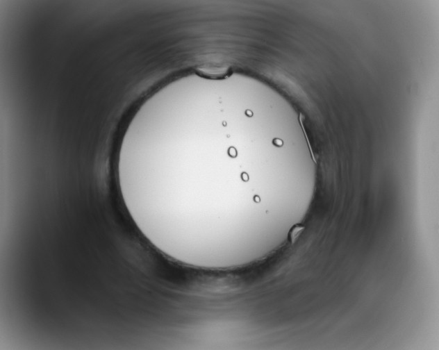 X0000089850488200707191905