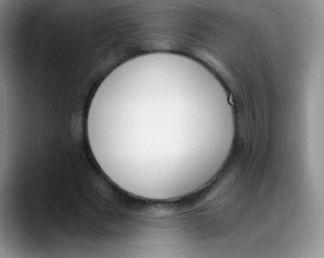 X0000089850489200707191905