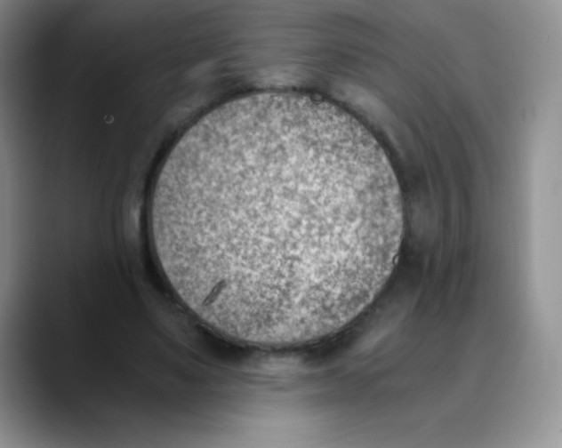 X0000089850491200707191905