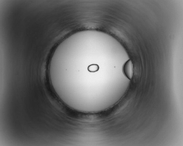 X0000089850492200707191905