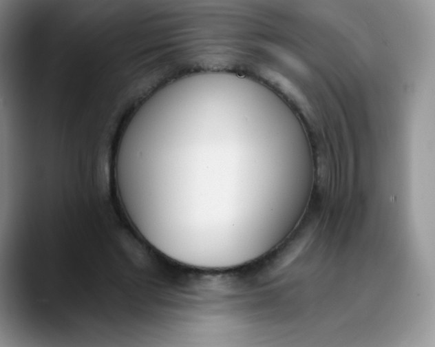 X0000089850493200707191905