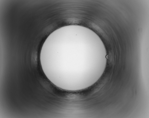 X0000089850494200707191905