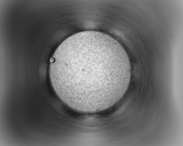 X0000089850495200707191905