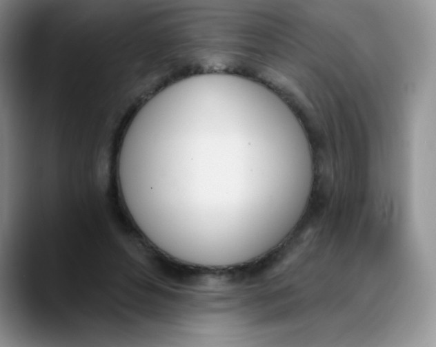 X0000089850496200707191905