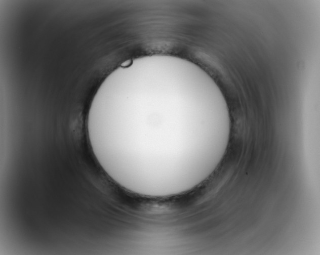 X0000089850498200707191905