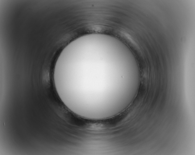 X0000089850500200707191905