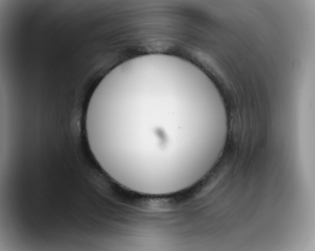 X0000089850501200707191905