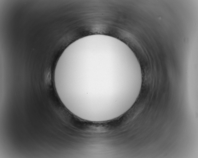 X0000089850502200707191905