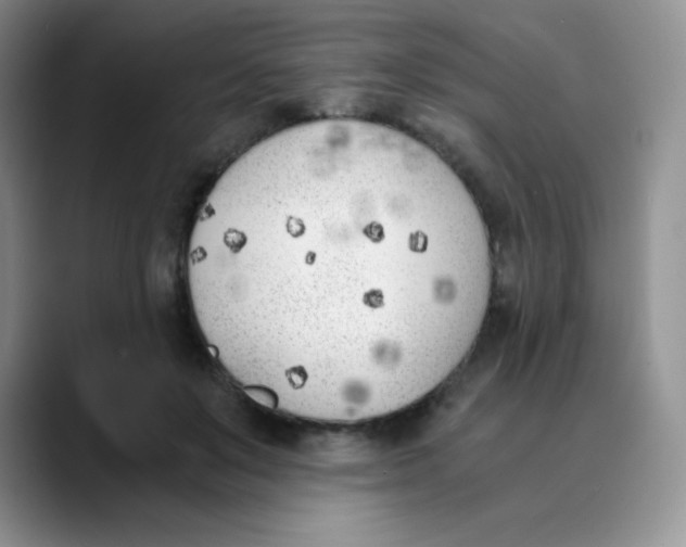 X0000089850503200707191905