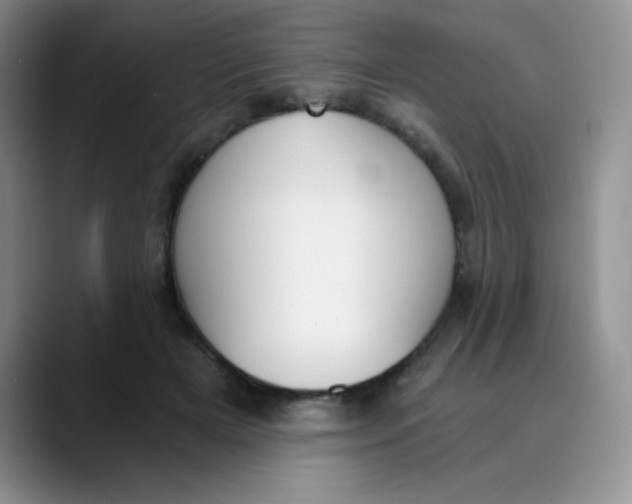 X0000089850505200707191905