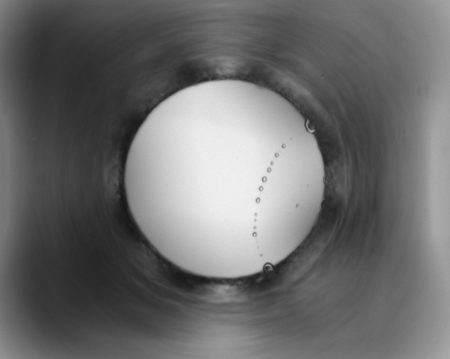 X0000089850509200707191905