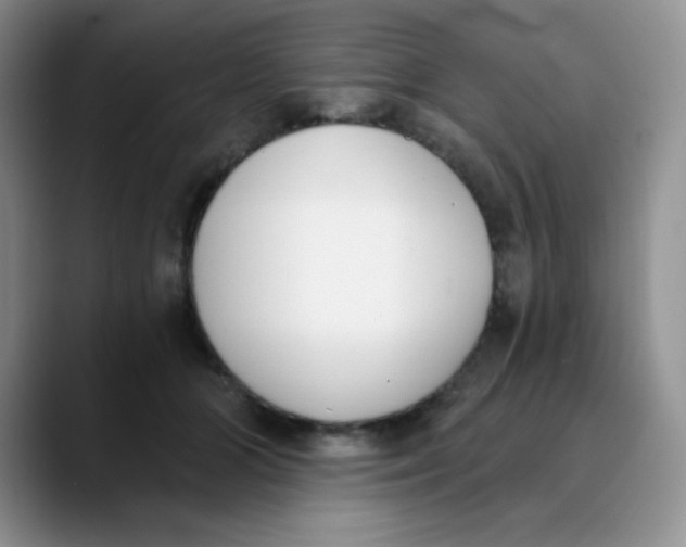 X0000089850510200707191905