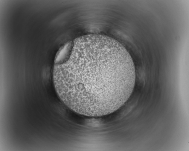 X0000089850511200707191904