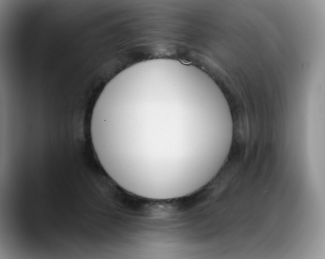 X0000089850512200707191904