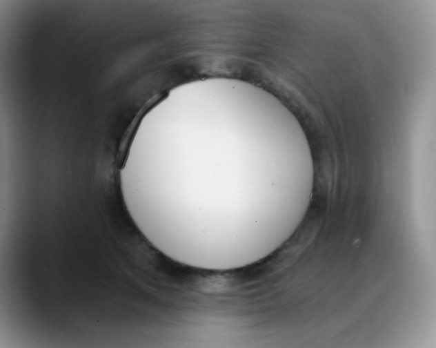 X0000089850513200707191904