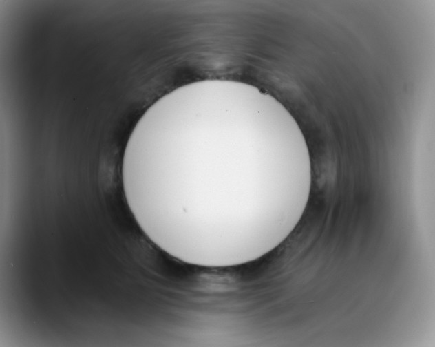 X0000089850515200707191904