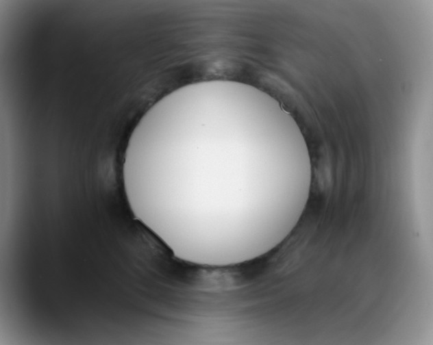 X0000089850520200707191904