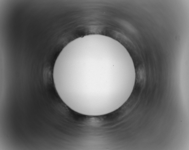 X0000089850522200707191904