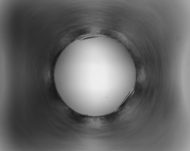 X0000089850524200707191904