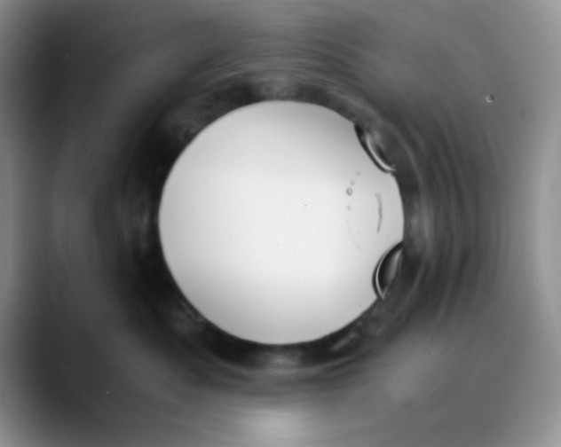 X0000089850525200707191904