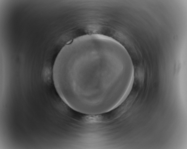 X0000089850526200707191904