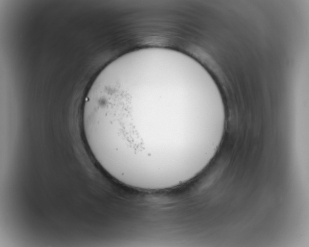 X0000089850529200707191904