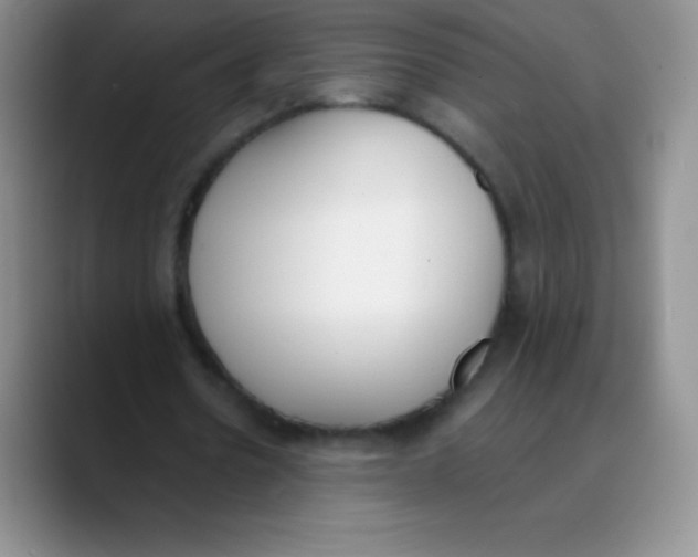 X0000089850530200707191904