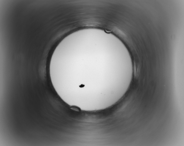 X0000089850531200707191904