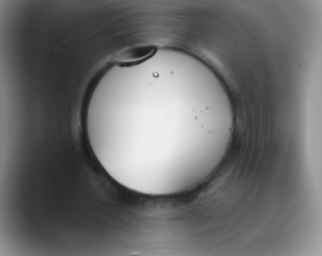 X0000089850532200707191904