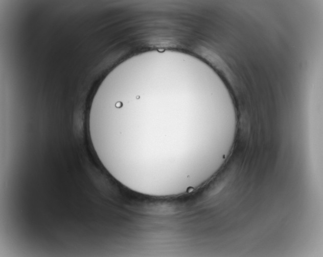 X0000089850533200707191904