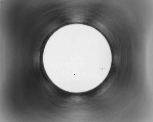 X0000089850534200707191904